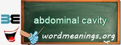 WordMeaning blackboard for abdominal cavity